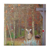 Carreau Cerf de Noël (Devant)