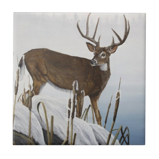 Carreau Cerf de Virginie (Devant)