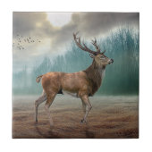Carreau Cerf Lone Dans La Forêt Misty (Devant)
