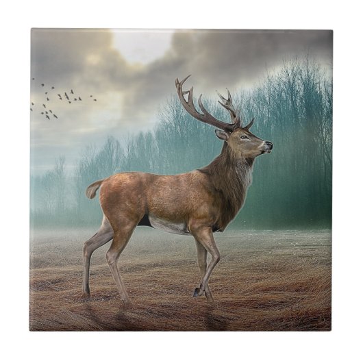 Carreau Cerf Lone Dans La Forêt Misty (Devant)