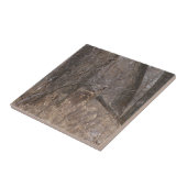 Carreau Cerfs à queue blanche D2 dans les peupliers (Côté)