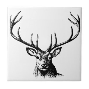 Carreau Cerfs Animaux Antlers Nature Faune Hornes Pots