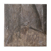 Carreau Cerfs communs Blanc-coupés la queue par D2 dans (Devant)