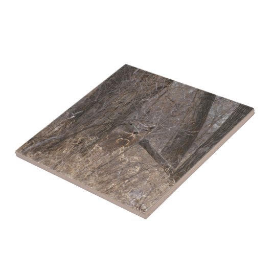 Carreau Cerfs communs Blanc-coupés la queue par D2 dans (Côté)