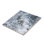 Carreau Cerfs communs dans la neige (Côté)