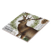 Carreau cerfs communs vintages modernes d'hiver de région (Côté)