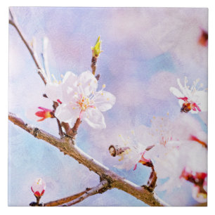 Carreau Cerise Japonaise - Sakura En Fleur