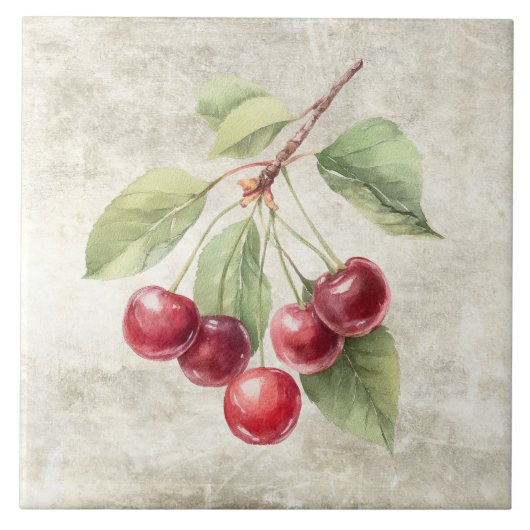 Carreau Cerises Aquarelle Rustique (Devant)