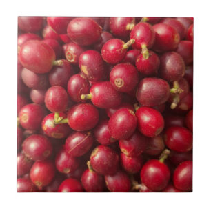 Carreau Cerises de café rouges fraîches et mûres