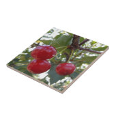 Carreau Cerises du Michigan (Côté)