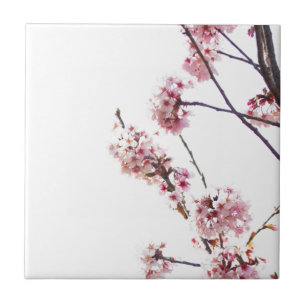 Carreau Cerisiers en fleurs