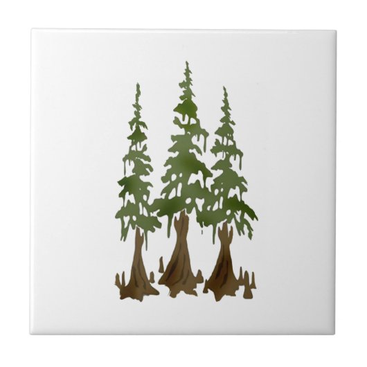 CARREAU CEUX DE DOMINATIONS (Devant)