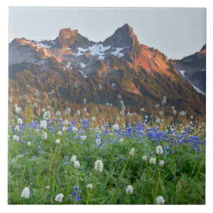Carreau Chaîne Tatoosh et fleurs sauvages Mt. Rainier