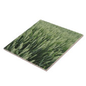 Carreau Champ de blé (Côté)