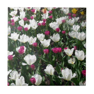 Carreau Champ De Fleurs