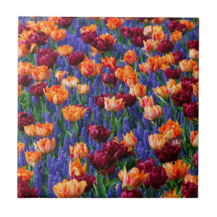 Carreau Champ de fleurs bleues, orange et rouges