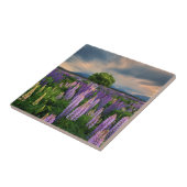 Carreau Champ de lupin en Nouvelle Zélande (Côté)