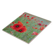 Carreau Champ de pavot en Vernon (Côté)