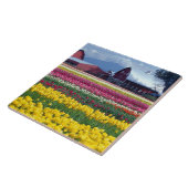 Carreau Champ de tulipes (Côté)