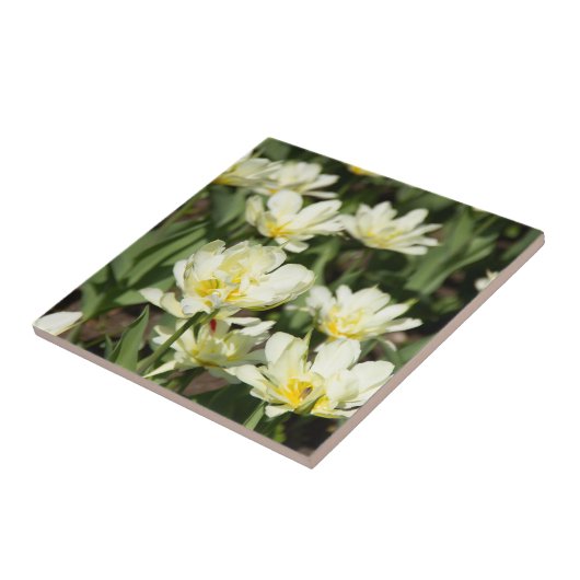 Carreau Champ de tulipes blanches (Côté)