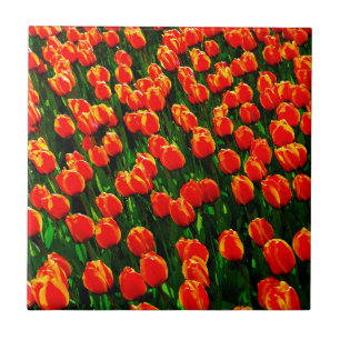 Carreau Champ de Tulipes Orange Lumineuses - Aquarelle