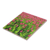 Carreau Champ de tulipes roses (Côté)