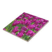 Carreau Champ de tulipes violettes (Côté)