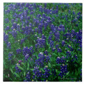 Carreau Champ des Bluebonnets de Texas (Devant)