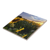 Carreau Champ des tournesols de floraison (Côté)