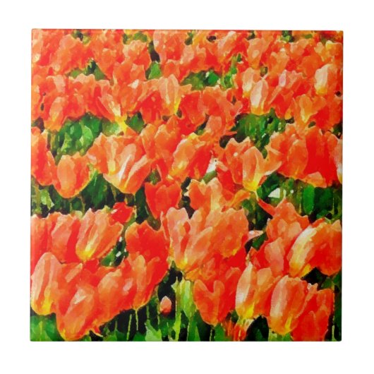 Carreau Champ orange de tulipes (Devant)
