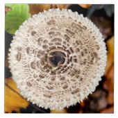 Carreau Champagne (Devant)