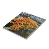 Carreau Champignon Polypore Soufré Orange (Côté)