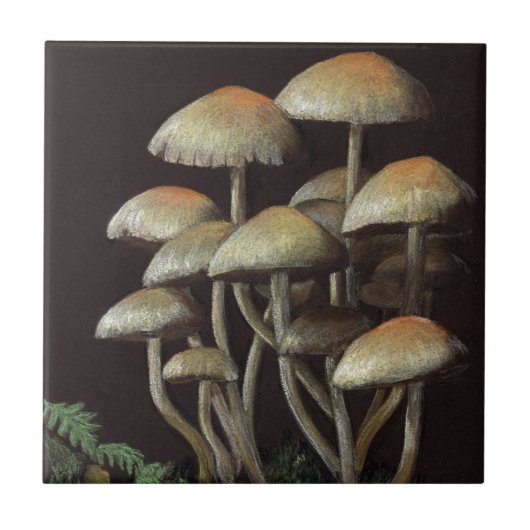 Carreau Champignons (Devant)