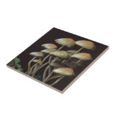 Carreau Champignons (Côté)