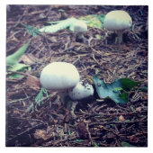 Carreau Champignons blancs mignons (Devant)