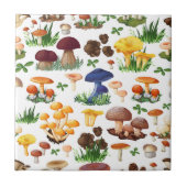 Carreau Champignons colorés (Devant)