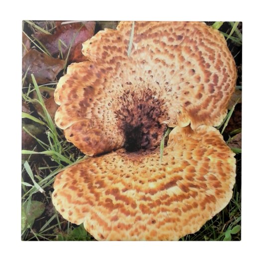 Carreau Champignons dans la forêt (Devant)