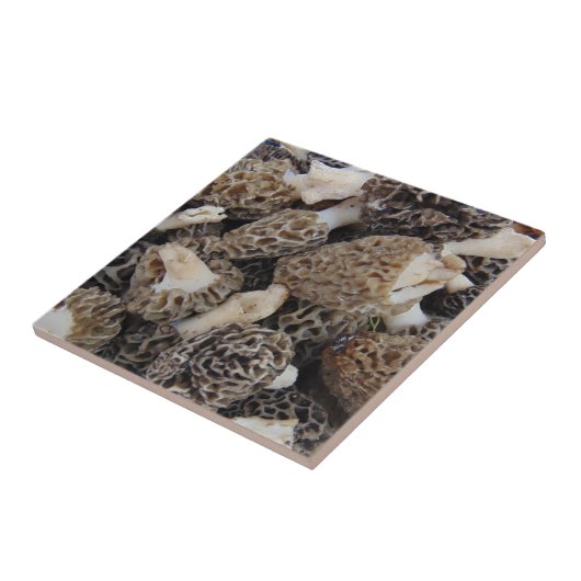 Carreau Champignons de morelle (Côté)