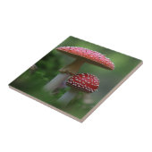 Carreau Champignons magiques (Côté)