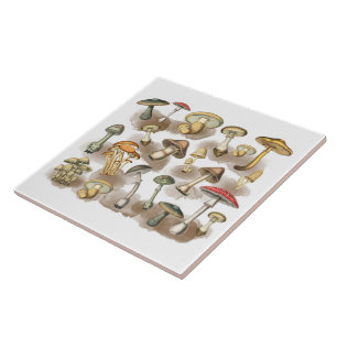 Carreau Champignons vintages de Forêt Rustique