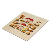 Carreau Champignons vintages de rouge de variété de (Côté)