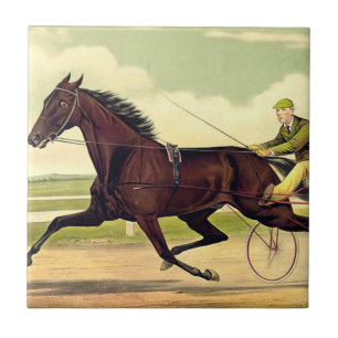 Carreau Champion boudeur SUPÉRIEUR