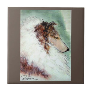 Carreau Champion Collie. ..