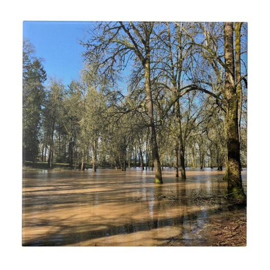 Carreau Champoeg State Park, Saint-Paul, OR (Devant)