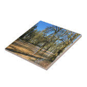 Carreau Champoeg State Park, Saint-Paul, OR (Côté)