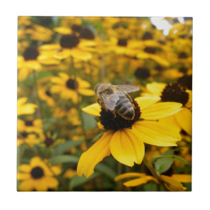 CARREAU CHAMPS DE MARGUERITES & ABEILLE À MIEL MAGNIFIQUES