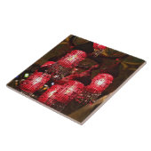 Carreau Chandelier en vente, Bazar Khan el Khalili, (Côté)