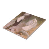 Carreau Changé Par La Magie De John Bauer (Côté)