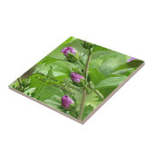 Carreau Chanson de Salomon 2:1 (Côté)