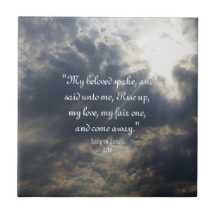 Carreau Chanson des chansons 2:10 Carrelage en céramique